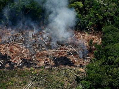 Gleba Nova Olinda sofre com desmatamentos e queimadas (Foto: Alberto César Araújo/2009 | Amazônia Real)