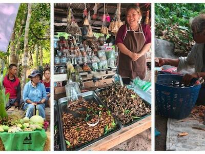 “Aquí seguimos, 27 años después”: la resistencia campesina de Kok Edoi en Tailandia