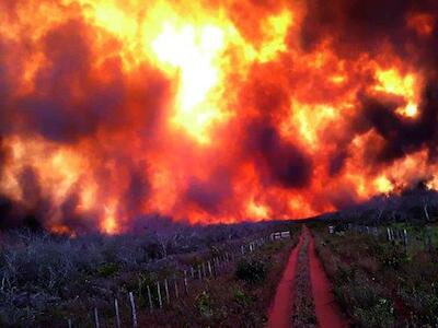 Arde Paraguay: Voraz fuego no retrocede y afecta más localidades