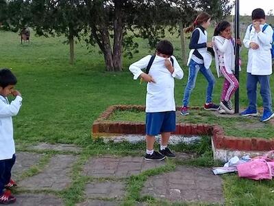 Argentina - Entre Ríos: La Justicia dejó firme la “prohibición de fumigar las escuelas”