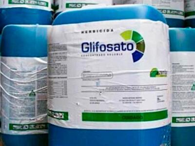 Argentina - Misiones: Diputados prohibirían el uso del glifosato