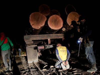 Asesinados dos indígenas en una reserva ecológica de Brasil