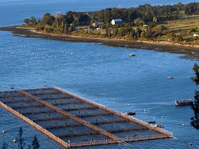 Asociación Wadalafken presenta reclamación por resolución que reduce a 3% ECMPO en costa de Valdivia