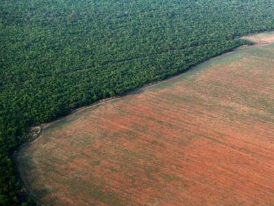 Assim a soja invade a Amazônia