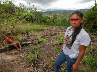 Avanço da soja envenena aldeias e seca riachos em reserva dos Munduruku