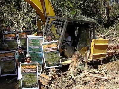 Ayuda a salvar la selva de Mulu