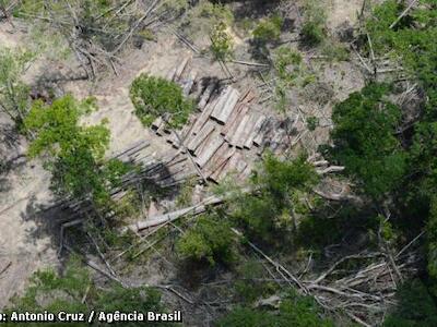 Bacia do Rio Doce sofre desmatamento de 1.857 hectares de Mata Atlântica entre 2018 e 2019