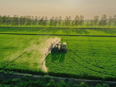 Bayer llegó a un acuerdo de 2 mil millones de dólares ante reclamos legales por el impacto de Roundup en la salud