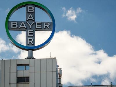 Bayer presiona "muy fuertemente" para cambiar las regulaciones de la UE sobre OGM para eximir la edición de genes