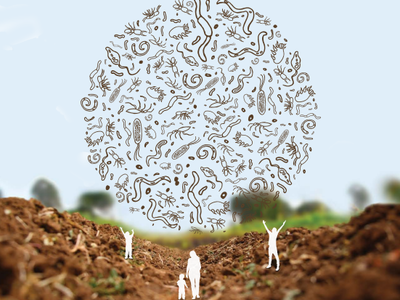 Biodiversidad del suelo. El mejor libro de 2020 sobre ecología y conservación