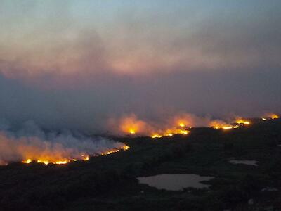Biólogos alertam para o risco de nova onda de incêndios no Pantanal