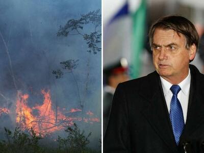 Bolsonaro aprovecha el covid-19 para deforestar a Brasil