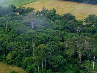 Brasil: Povos indígenas afetados por mudança climática querem políticas de prevenção e maior participação nas decisões