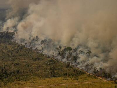 Foto: Greenpeace