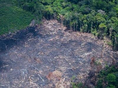 Brasil segue firme na liderança mundial da destruição de florestas