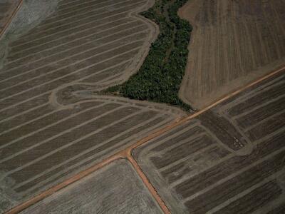 Sobrevuelo sobre un bosque deforestado en Rondonia, Brasil. Foto: Bruno Kelly / Amazon Watch