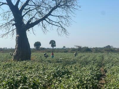 Foto: Brigada Samora Machel