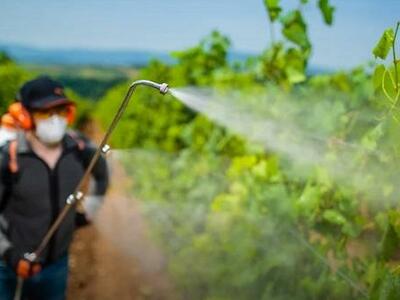 Califórnia proíbe agrotóxico ligado a danos cerebrais em crianças