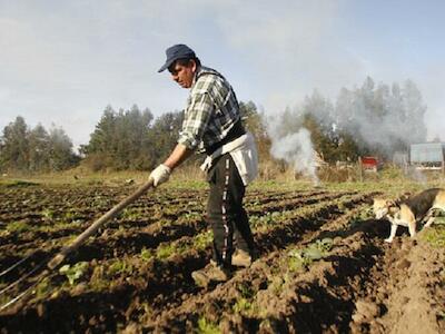 Calor extremo afecta a agricultores y comerciantes: Sectores pierden 4% de riqueza por cada grado sobre la media