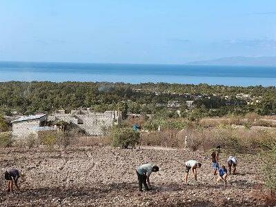 Campesinos denuncian acaparamiento de tierras en Haití