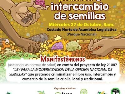 Campesinos y ecologistas protestarán contra proyecto de «privatización» de semillas criollas y nativas