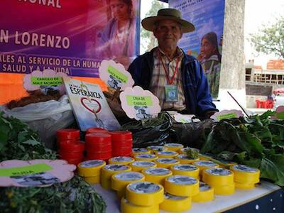 Capacitarán a los médicos tradicionales de Tarija en el uso de plantas medicinales para prevenir el coronavirus
