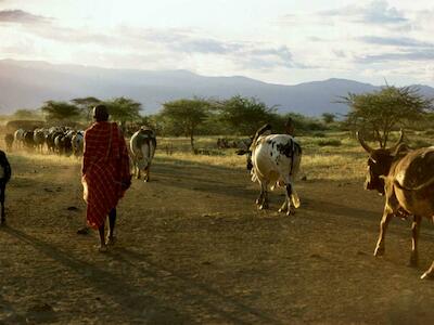 Foto: Los pastores de Kenia son nómadas y autosuficientes pero, según Survival, el proyecto de NRT hace peligrar su modo de vida. © Beckwith & Fisher
