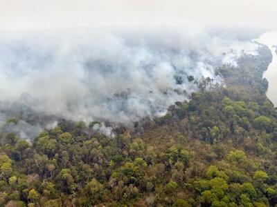 Cargill sinaliza saída da Moratória da Soja, pacto de proteção à Amazônia