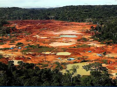 Carlos Nobre: “Precisamos da Amazônia para evitar ecocídio do planeta”