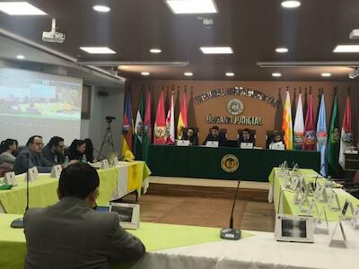 CEJIS califica de histórico fallo del Tribunal Agroambiental que ordena medidas contra incendios y revisión de “leyes incendiarias”