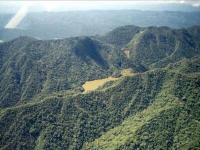 Cerca de 200 áreas protegidas subnacionales subsisten entre la conservación y las amenazas múltiples