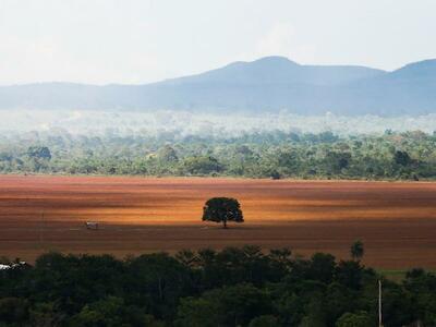 Alto Paraíso de Goiás (GO) - Área de cerrado desmatada para plantio no município de Alto Paraíso (Foto: Marcelo Camargo/Agência Brasil)