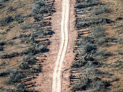 Foto: Alejandro Espeche / Greenpeace