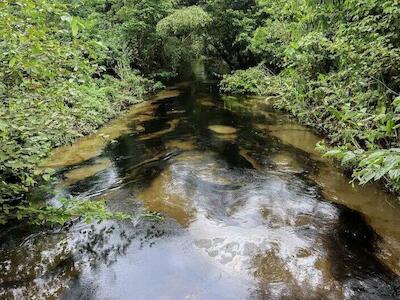 Contaminación en el río Conejo. Derechos de autor: UDAPT