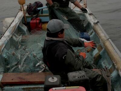 Imagen principal: Pescadores artesanales pescando merluza. Foto: Michelle Carrere