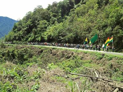 - Foto por Hsas Lelponi Maria Alba Guillen, publicada en Mongabay Latam.