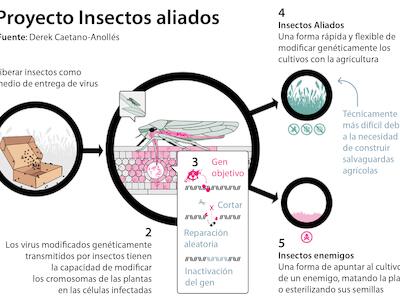 Científicos sospechan que un gran experimento agrícola de EE.UU. oculta un arma biológica