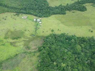 Colombia aún no captura a alguno de los grandes deforestadores
