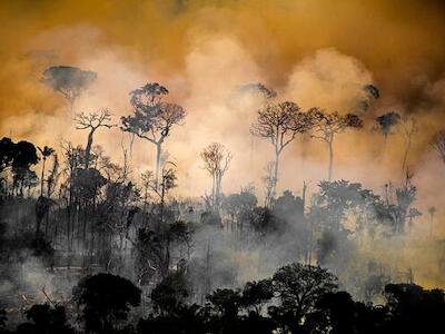 Números do Imazon mostram destruição sem precedentes. Foto: Christian Braga/Greenpeace