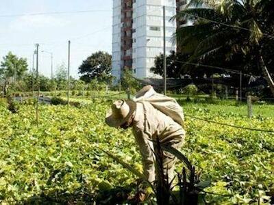 Comienza Foro Mundial de Agroecología en Cuba