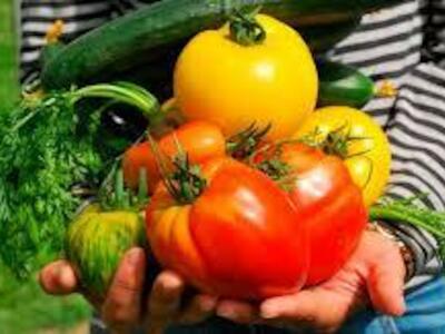 ¿Cómo se disputan las productoras y productores agroecológicos la provisión de alimentos frente a la crisis del Covid-19?
