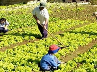 Comunicado público Red Nacional de Agricultura Familiar – RENAF