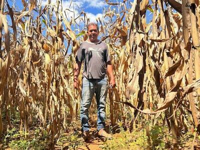 Agricultor Gilson Dionísio Pereira, de 47 anos, nasceu e se criou em Antinha de Baixo, interior de Goiás - Rayanne Salim