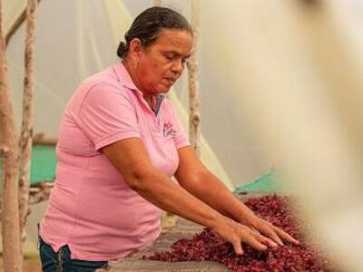 Comunidades de Montes de María reciben tierras para la producción agrícola