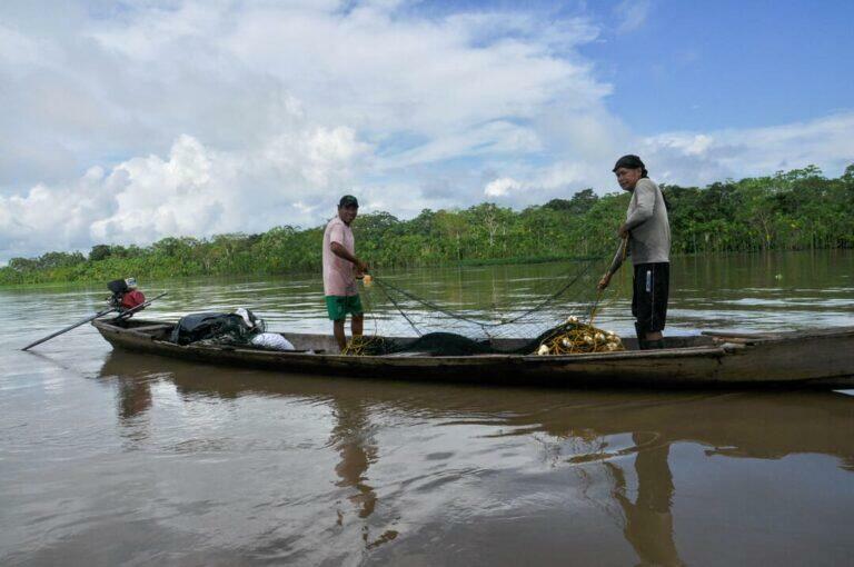 Comunidades indígenas de Amazonia colombiana pierden con los bonos de ...
