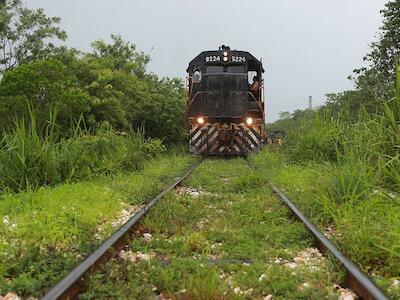 Comunidades obtienen suspensión definitiva del tramo 2 del Tren Maya