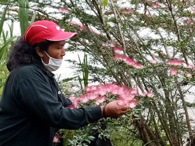 Marisela Vargas con al flor de bobinsana