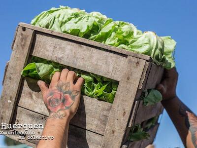 “Con la Ley de Fomento a la Agroecología planteamos que el Estado promueva un nuevo paradigma productivo”