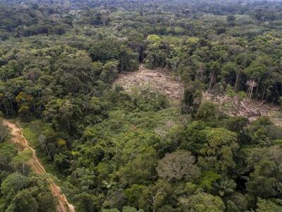 Congreso aprueba otra carretera que impactaría a 23 comunidades