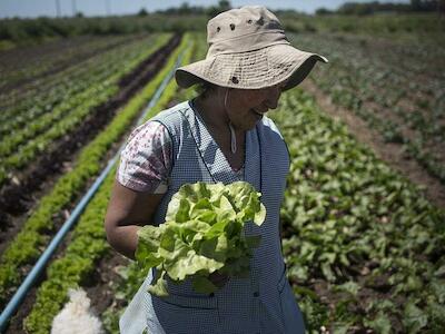 Congreso de Agroecología de los Pueblos, del monocultivo a la biodiversidad